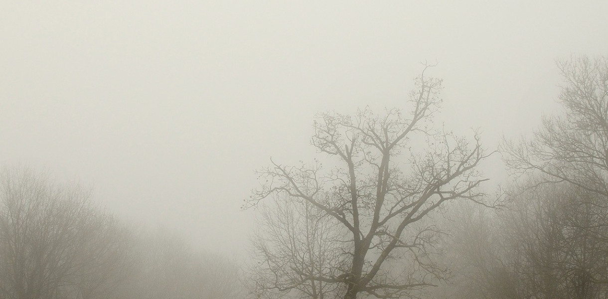Uwaga – mgła intensywnie osadzająca szadź!